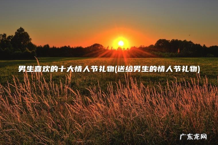 男生喜欢的十大情人节礼物(送给男生的情人节礼物) 送给男生的情人节礼物 男生喜欢的十大情人节礼物
