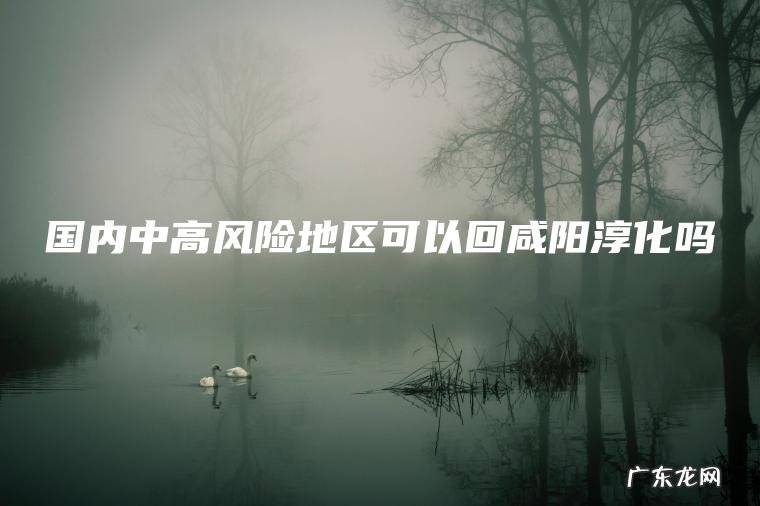 国内中高风险地区可以回咸阳淳化吗 国内中高风险地区可以回咸阳淳化吗