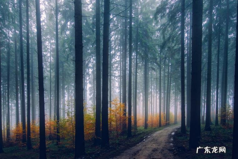 新的一年，自在生活的12个小方法