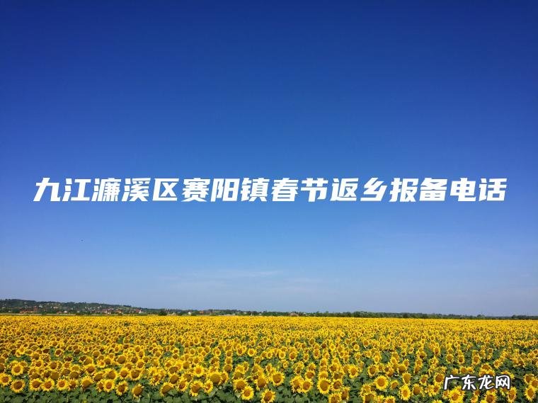 九江濂溪区赛阳镇春节返乡报备电话