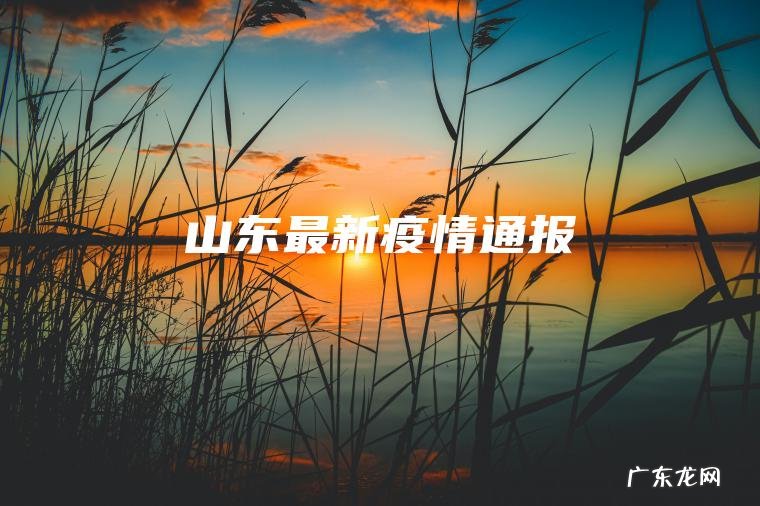 山东最新疫情通报 山东最新疫情通报