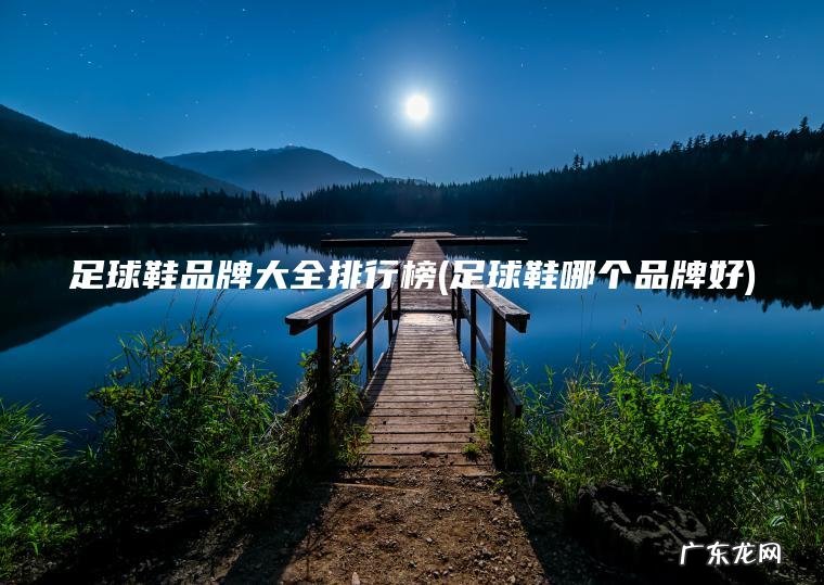 足球鞋品牌大全排行榜(足球鞋哪个品牌好)