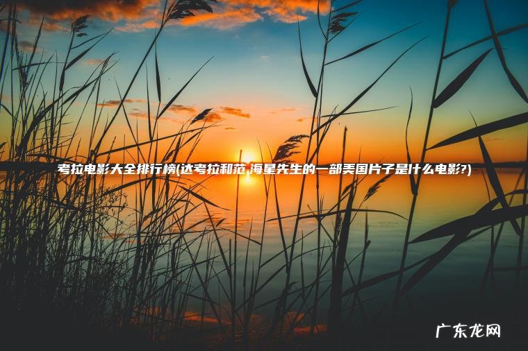 考拉电影大全排行榜(达考拉和范.海星先生的一部美国片子是什么电影?) 达考拉和范.海星先生的一部美国片子是什么电影? 考拉电影大全排行榜