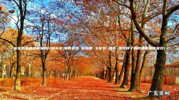 曼秀雷敦 自然堂 卡尼尔 雅芳 那个牌子的防晒霜隔离霜好 淘宝防晒品牌质量排行榜大全