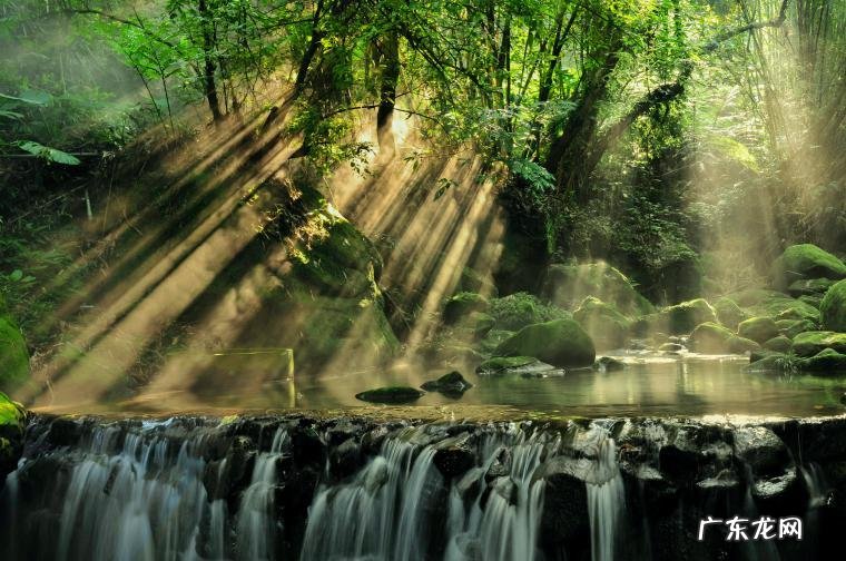 火锅配菜排行榜-九州醉餐饮网 火锅大全排行榜