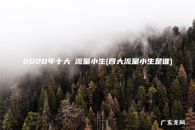 四大流量小生是谁 2020年十大強流量小生
