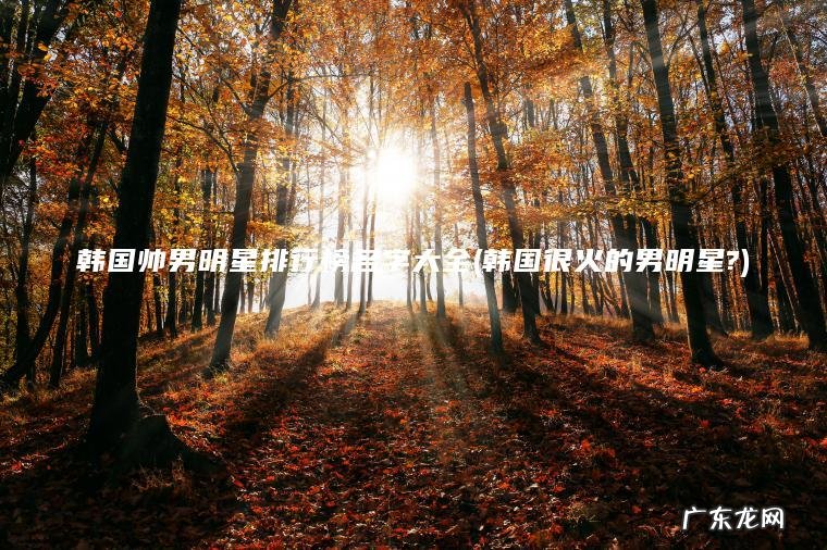 韩国帅男明星排行榜名字大全(韩国很火的男明星?) 韩国很火的男明星? 韩国帅男明星排行榜名字大全