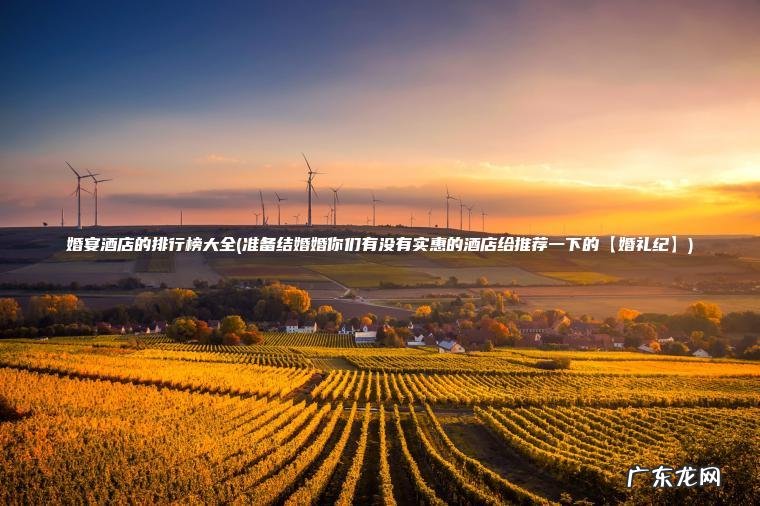 准备结婚婚你们有没有实惠的酒店给推荐一下的【婚礼纪】 婚宴酒店的排行榜大全