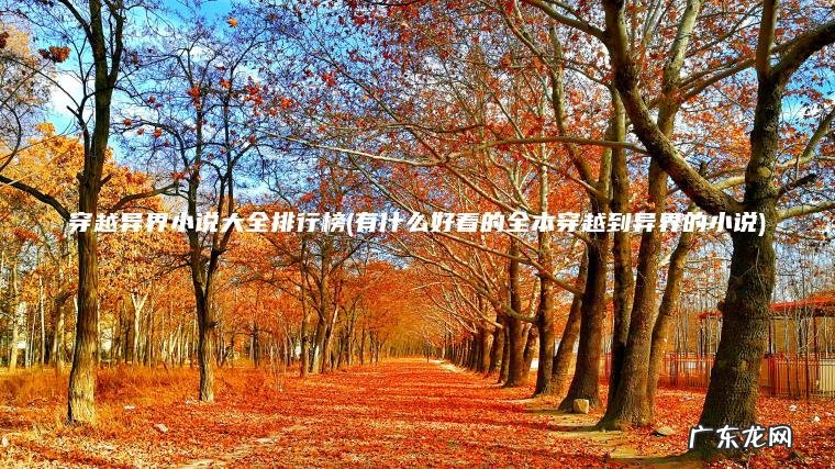 穿越异界小说大全排行榜(有什么好看的全本穿越到异界的小说)