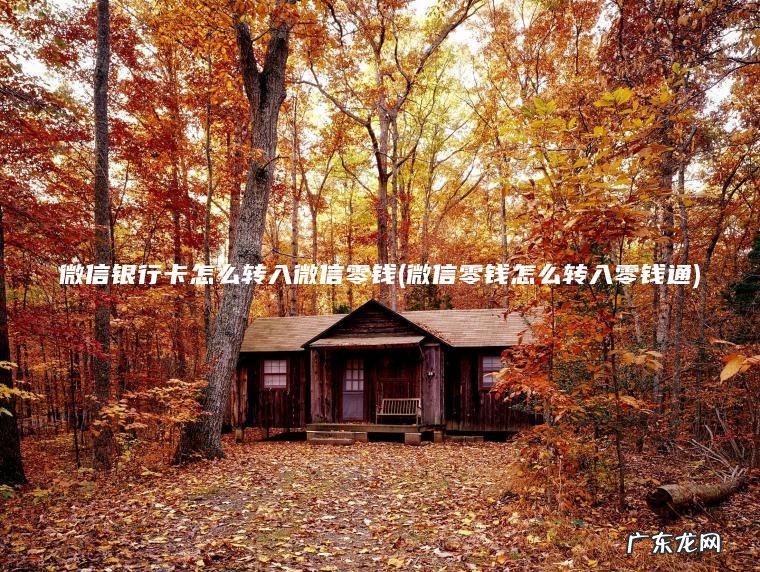 微信银行卡怎么转入微信零钱(微信零钱怎么转入零钱通)