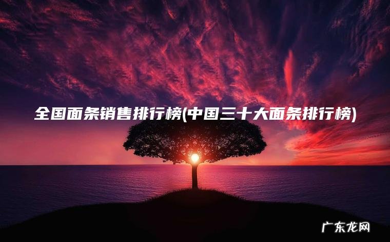 中国三十大面条排行榜 全国面条销售排行榜