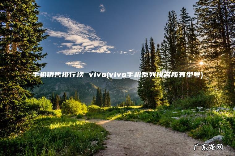 vivo手机系列排名所有型号 手机销售排行榜 vivo