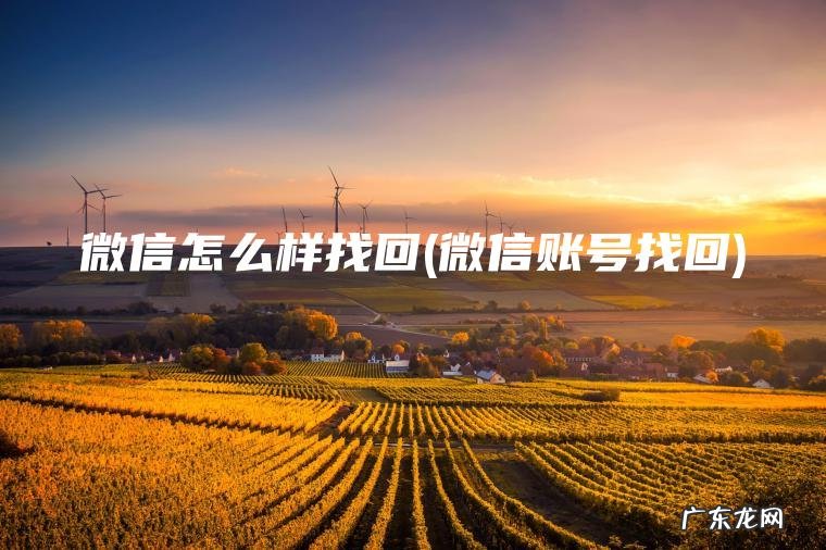 微信怎么样找回(微信账号找回) 微信账号找回 微信怎么样找回