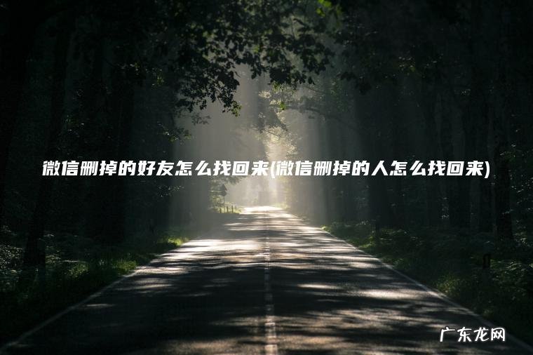 微信删掉的好友怎么找回来(微信删掉的人怎么找回来)