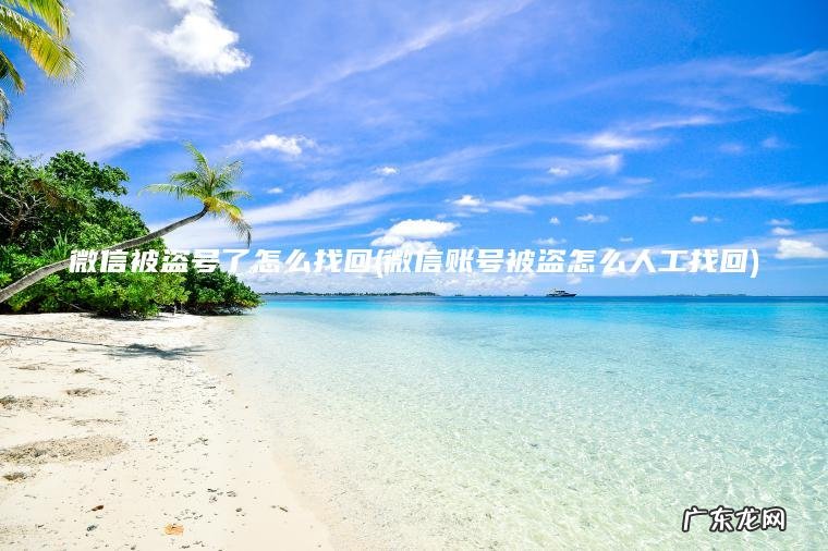 微信被盗号了怎么找回(微信账号被盗怎么人工找回) 微信账号被盗怎么人工找回 微信被盗号了怎么找回