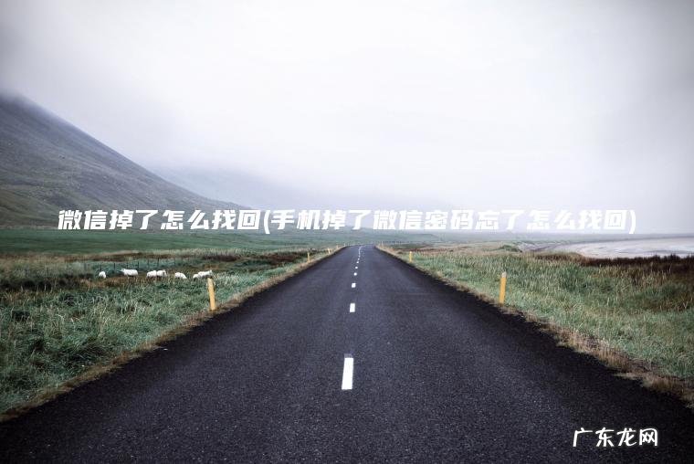 微信掉了怎么找回(手机掉了微信密码忘了怎么找回) 手机掉了微信密码忘了怎么找回 微信掉了怎么找回