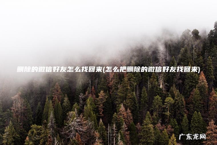 删除的微信好友怎么找回来(怎么把删除的微信好友找回来) 怎么把删除的微信好友找回来 删除的微信好友怎么找回来