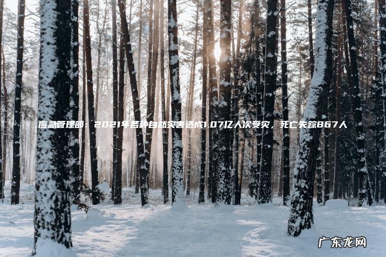 应急管理部：2021年各种自然灾害造成1.07亿人次受灾 ， 死亡失踪867人