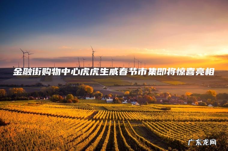 金融街购物中心虎虎生威春节市集即将惊喜亮相