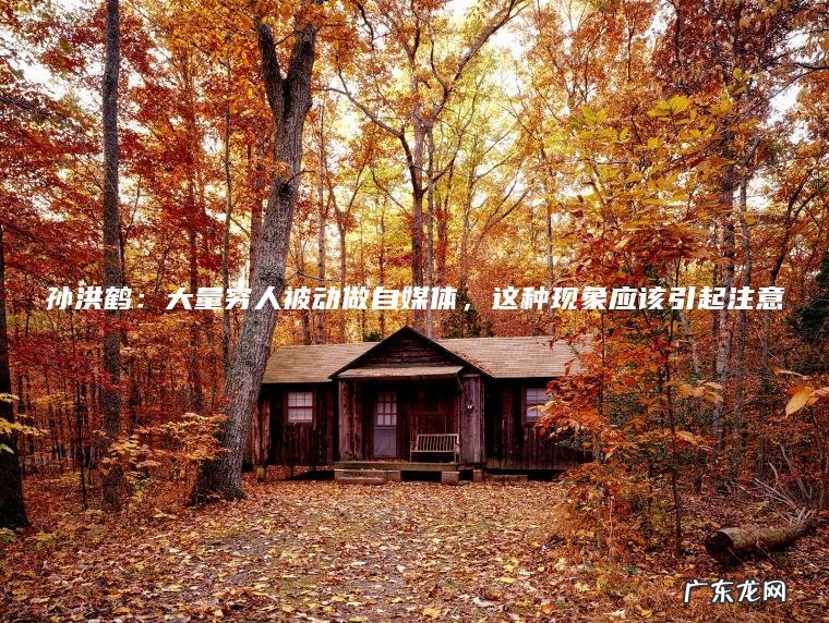 孙洪鹤:大量穷人被动做自媒体 , 这种现象应该引起注意 孙洪鹤:大量穷人被动做自媒体,这种现象应该引起注意