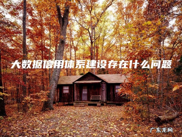 大数据信用体系建设存在什么问题