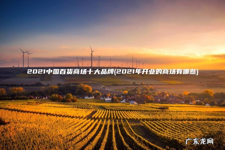 2021中国百货商场十大品牌(2021年开业的商场有哪些) 2021年开业的商场有哪些 2021中国百货商场十大品牌