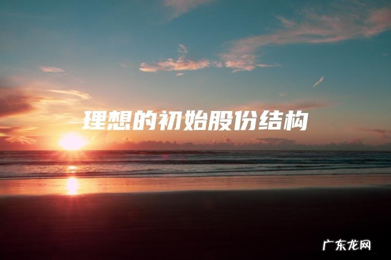 理想的初始股份结构