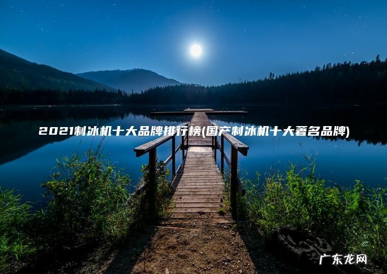 2021制冰机十大品牌排行榜(国产制冰机十大著名品牌)
