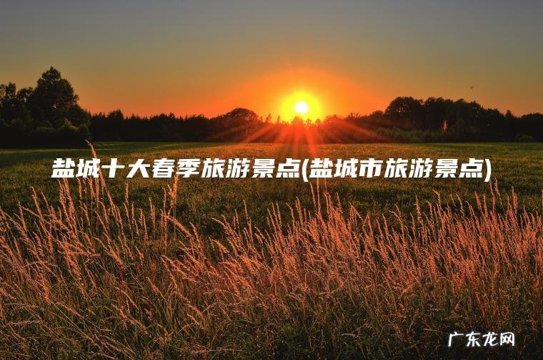 盐城十大春季旅游景点(盐城市旅游景点) 盐城市旅游景点 盐城十大春季旅游景点