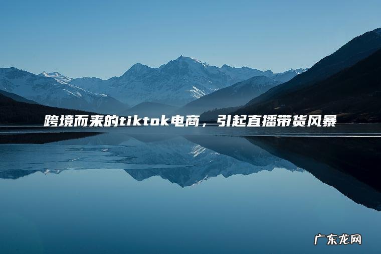 跨境而来的tiktok电商，引起直播带货风暴