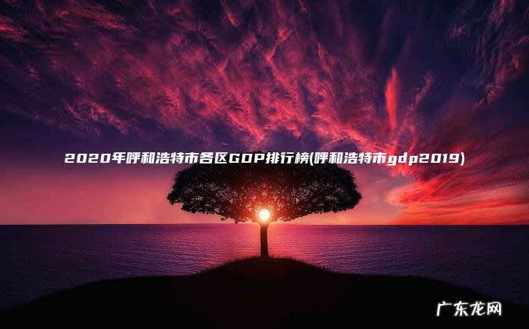 呼和浩特市gdp2019 2020年呼和浩特市各区GDP排行榜