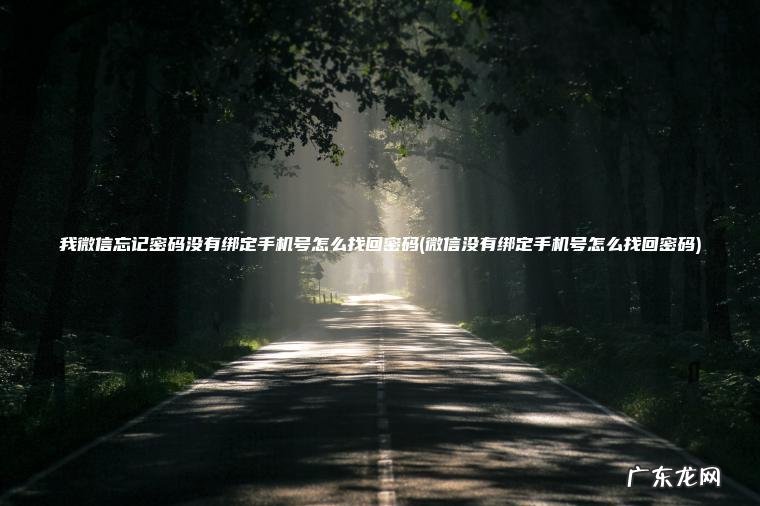 我微信忘记密码没有绑定手机号怎么找回密码(微信没有绑定手机号怎么找回密码) 微信没有绑定手机号怎么找回密码 我微信忘记密码没有绑定手机号怎么找回密码