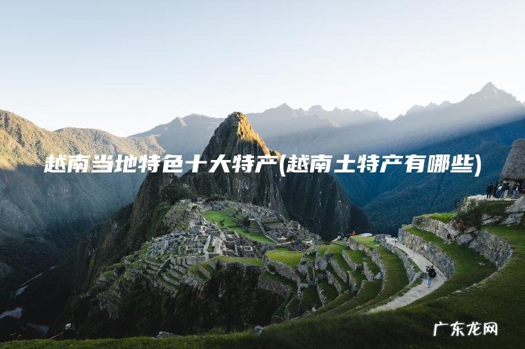 越南当地特色十大特产(越南土特产有哪些) 越南土特产有哪些 越南当地特色十大特产