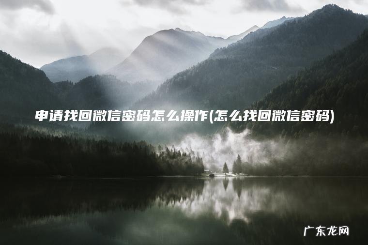 申请找回微信密码怎么操作(怎么找回微信密码) 怎么找回微信密码 申请找回微信密码怎么操作