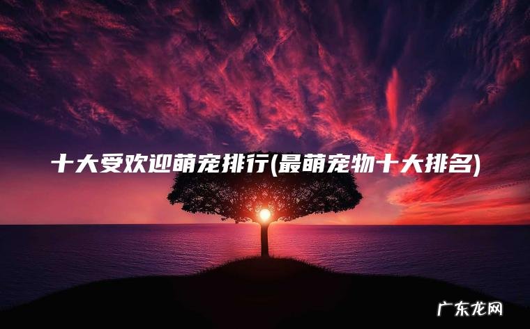 十大受欢迎萌宠排行(最萌宠物十大排名) 最萌宠物十大排名 十大受欢迎萌宠排行