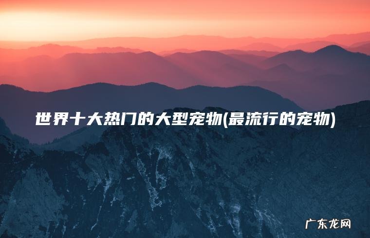 世界十大热门的大型宠物(最流行的宠物) 最流行的宠物 世界十大热门的大型宠物