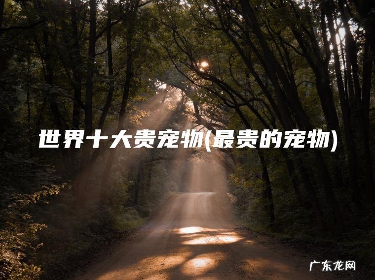 世界十大贵宠物(最贵的宠物) 最贵的宠物 世界十大贵宠物