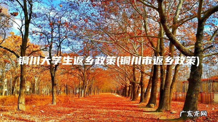 铜川大学生返乡政策(铜川市返乡政策) 铜川市返乡政策 铜川大学生返乡政策