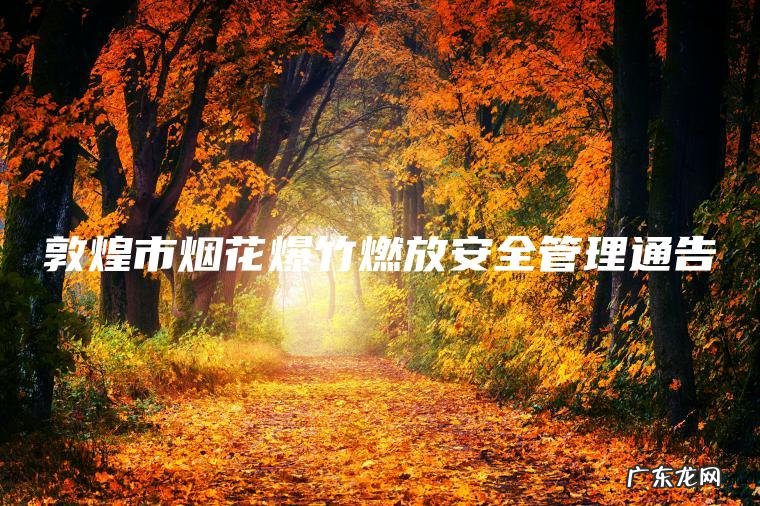 敦煌市烟花爆竹燃放安全管理通告 敦煌市烟花爆竹燃放安全管理通告