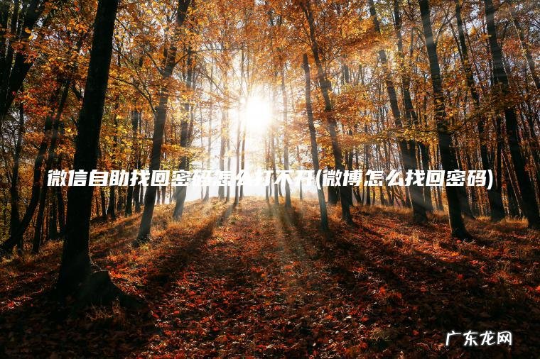 微博怎么找回密码 微信自助找回密码怎么打不开