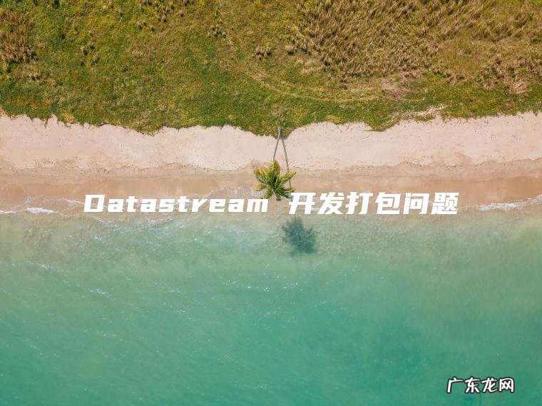 Datastream 开发打包问题 Datastream 开发打包问题