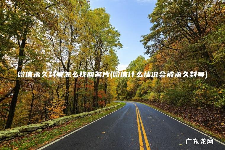 微信永久封号怎么找回名片(微信什么情况会被永久封号) 微信什么情况会被永久封号 微信永久封号怎么找回名片