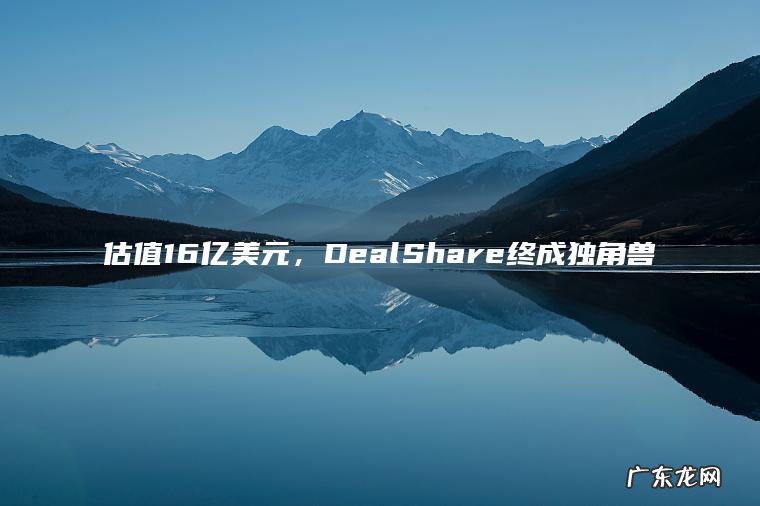 估值16亿美元,DealShare终成独角兽 估值16亿美元,DealShare终成独角兽