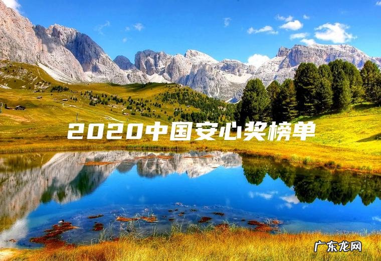 2020中国安心奖榜单 2020中国安心奖榜单