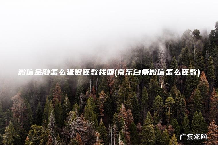 微信金融怎么延迟还款找回(京东白条微信怎么还款) 京东白条微信怎么还款 微信金融怎么延迟还款找回