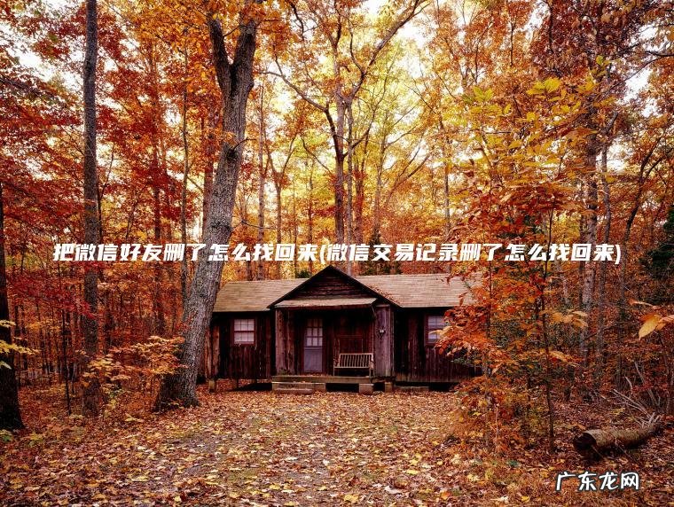 把微信好友删了怎么找回来(微信交易记录删了怎么找回来) 微信交易记录删了怎么找回来 把微信好友删了怎么找回来