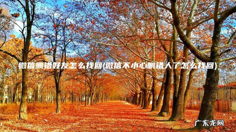 微信删错好友怎么找回(微信不小心删错人了怎么找回) 微信不小心删错人了怎么找回 微信删错好友怎么找回