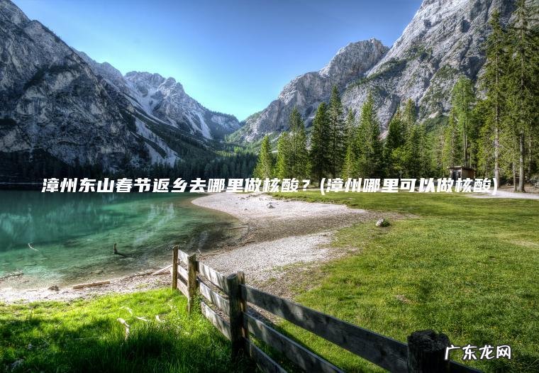 漳州东山春节返乡去哪里做核酸?(漳州哪里可以做核酸) 漳州哪里可以做核酸 漳州东山春节返乡去哪里做核酸?