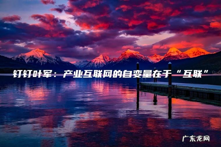 钉钉叶军:产业互联网的自变量在于“互联” 钉钉叶军:产业互联网的自变量在于“互联”
