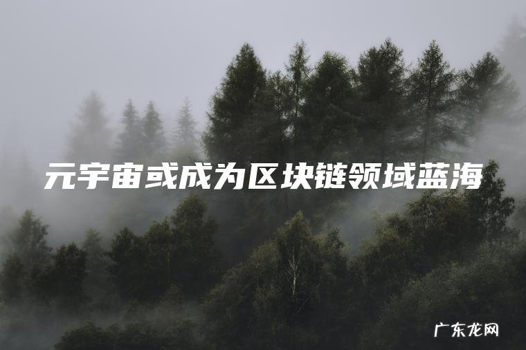 元宇宙或成为区块链领域蓝海 元宇宙或成为区块链领域蓝海